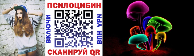 Псилоцибиновые грибы Psilocybine cubensis  Чкаловск 